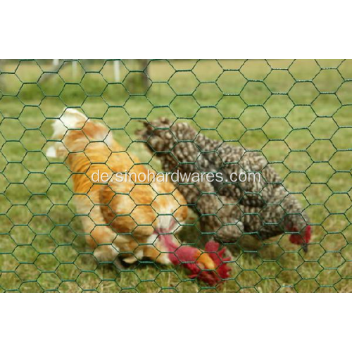 Sechseckiges Hühnerdrahtgeflecht